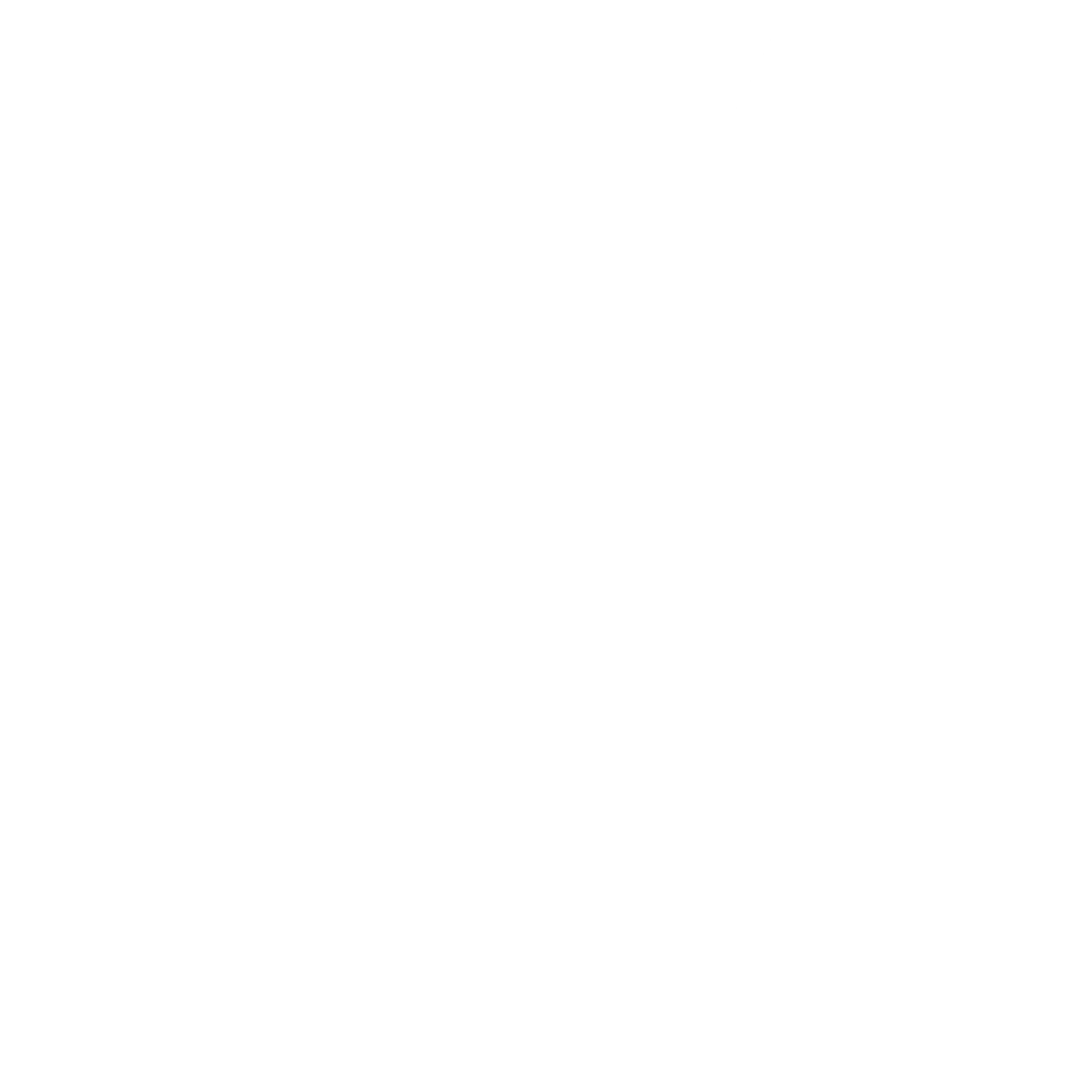 Programme VIP